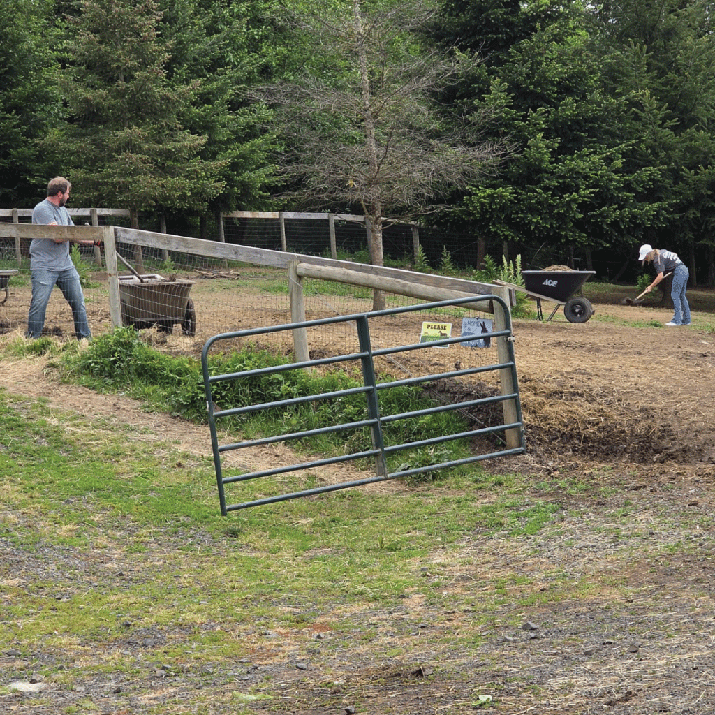 Madison-Grove-Farm-Positive-Impact-6